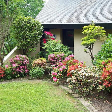 Jardin Des Chats Sevignacq-Meyracq Екстер'єр фото